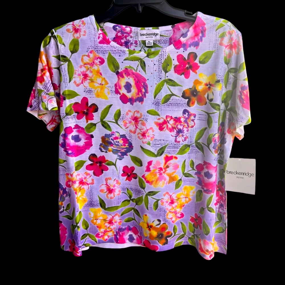Breckenridge NWT Women’s Top